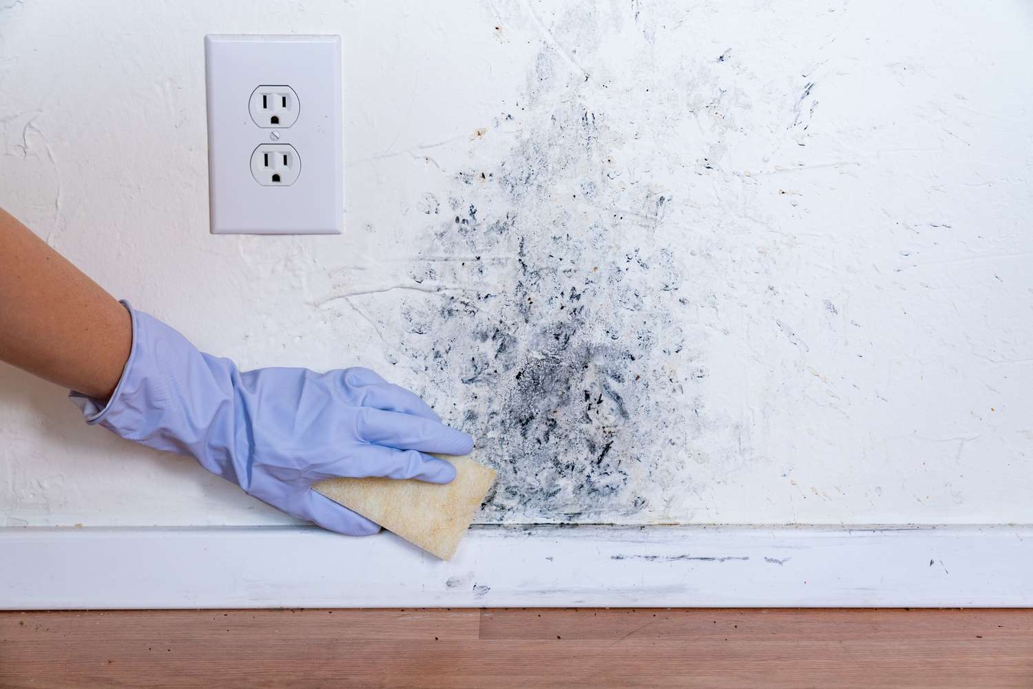 Residential Mold Removal​